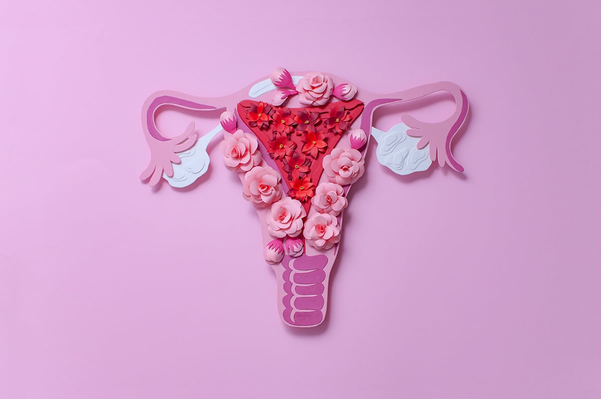 Gynecology - Tennessee Valley OBGYN - Huntsville, AL Gynecologists