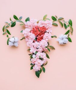 Gynecology - Tennessee Valley OBGYN - Huntsville, AL Gynecologists